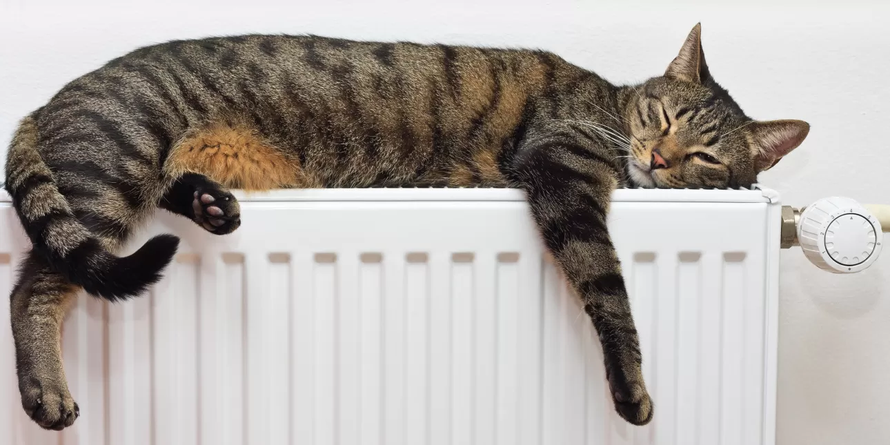 S još dva nova važna podzakonska propisa upotpunjuje se zakonodavni okvir tržišta toplinske energije